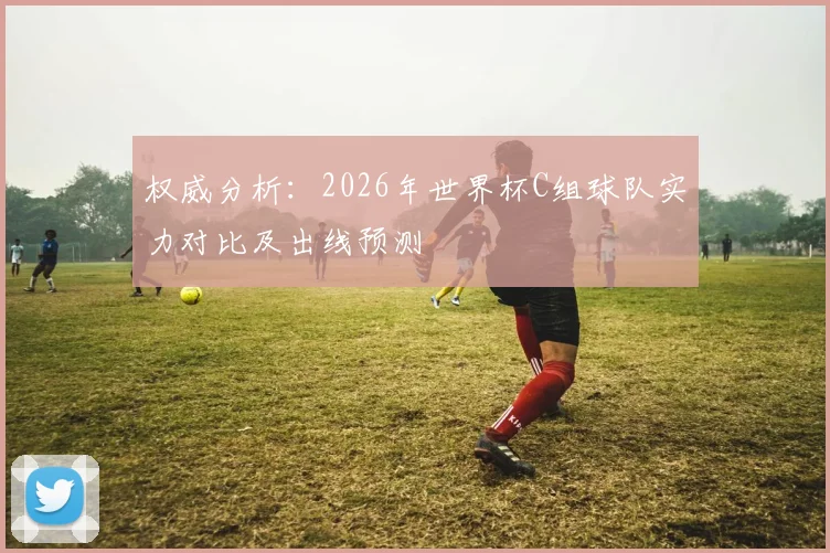 权威分析:2026年世界杯C组球队实力对比及出线预测