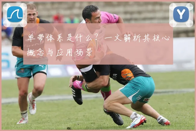 单带体系是什么？一文解析其核心概念与应用场景
