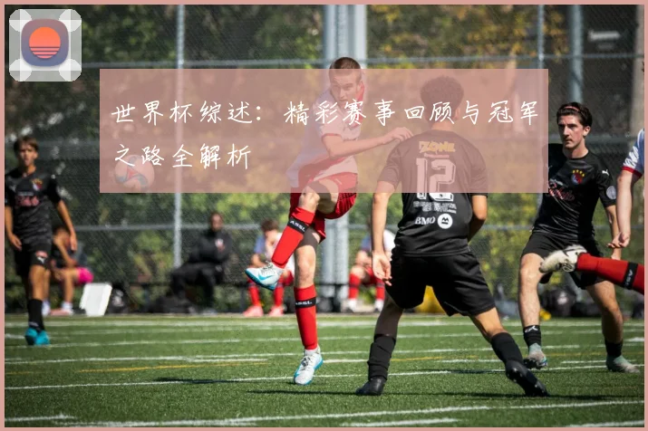 世界杯综述:精彩赛事回顾与冠军之路全解析