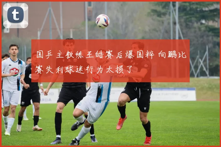 国乒主教练王皓赛后爆国粹 向鹏比赛失利球迷行为太损了